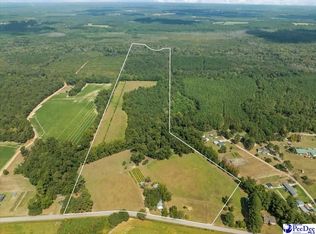 3346 Crescent Loop, Dillon, SC 29536