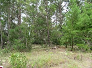 3893 W Indian Rock Pl, Citrus Springs, FL 34433