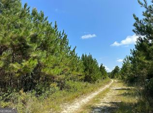 9 Ray Rd, Damascus, GA 39841