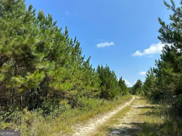 9 Ray Rd, Damascus, GA 39841