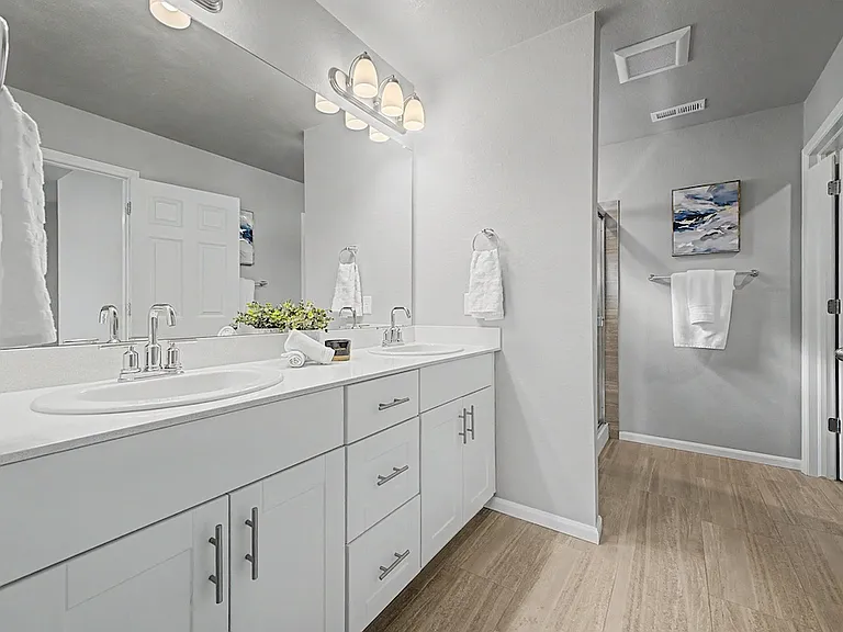 Double sink in master bathroom