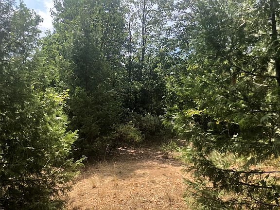 2nd image of 173 Arrowhead Dr