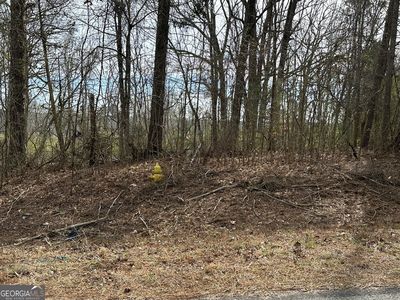 0 Victory Rd Lot 2, Franklin, GA, 30217