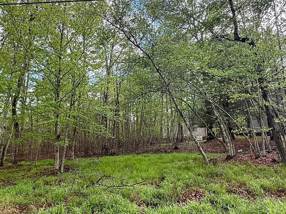 2nd image of 355 Fir Ln