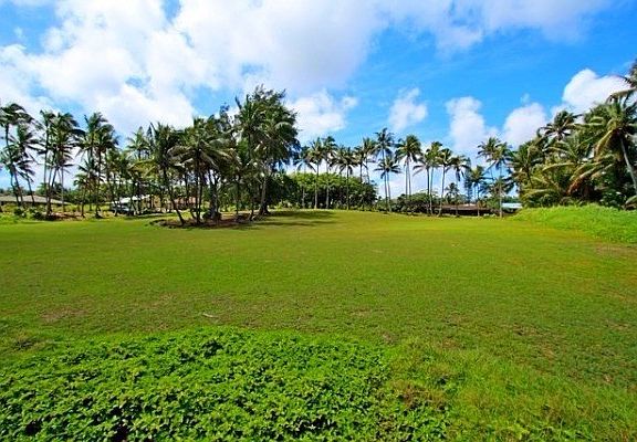 5th image of Opakapaka St Lot 17