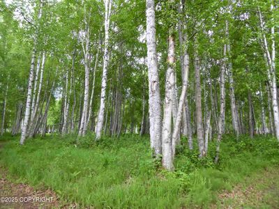 D006 Road Trl, Talkeetna, AK, 99676