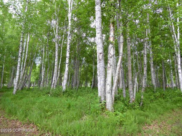 D006 Road Trl, Talkeetna, AK 99676