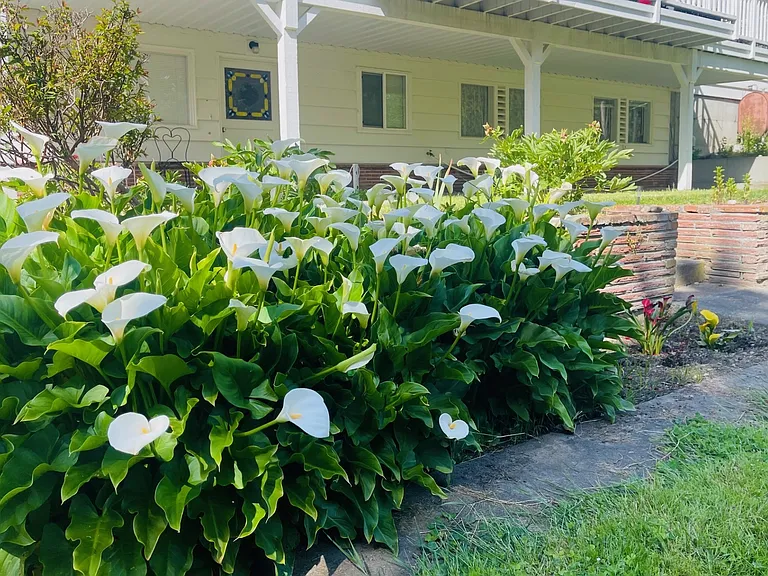 View Ridge Dr — Photo 15