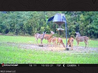 Highway 12, Lexington, MS 39095