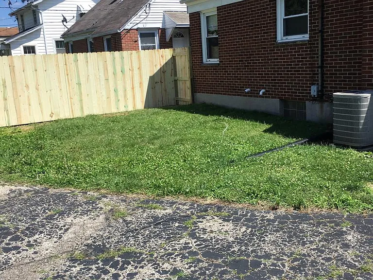 back yard