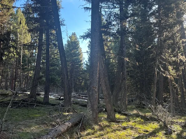 1274 Grandview Dr, Seeley Lake, MT 59868