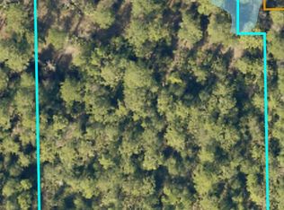 235 Emporia Rd, Pierson, FL 32180