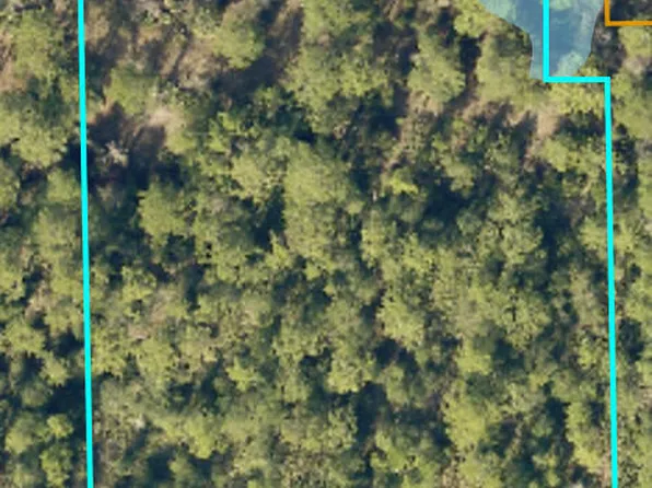 235 Emporia Rd, Pierson, FL 32180