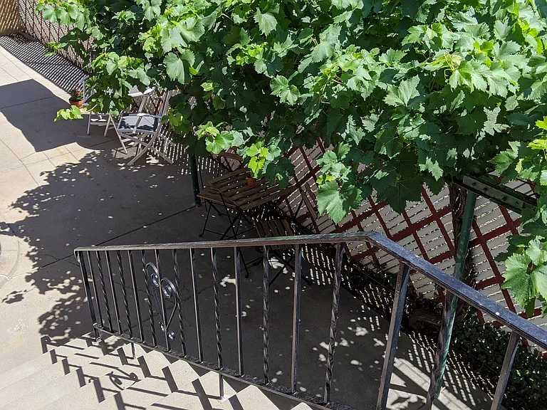 382 E Kensington Ave — Photo 10