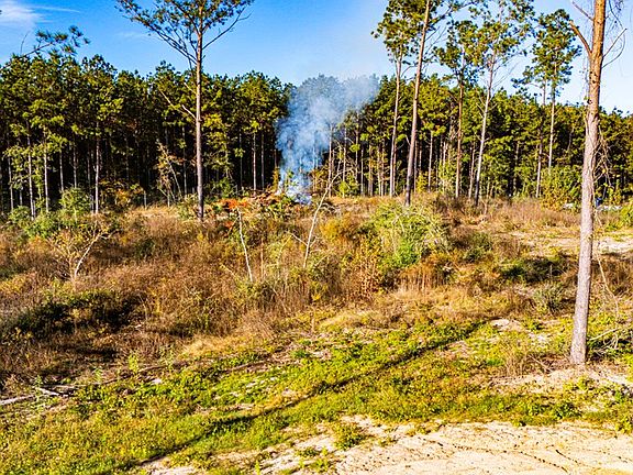 5th image of LOT 2 Blackbuck Dr