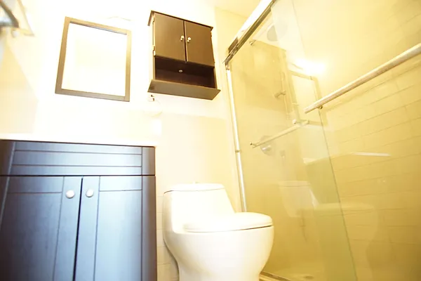 Rented by Lofts and Flats LLC | media 18