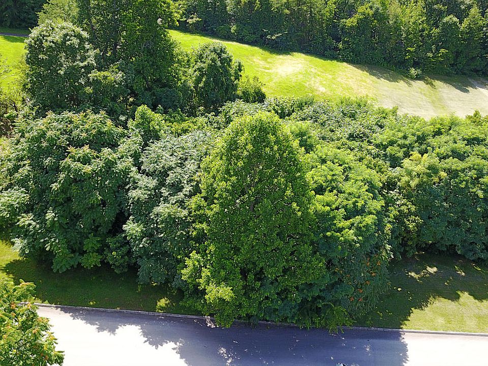 1st image of 1019 Saint Johns Dr