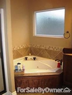 Mster Bathroom shower and jacuzzi tub