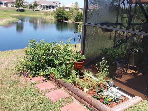 View from back yard
