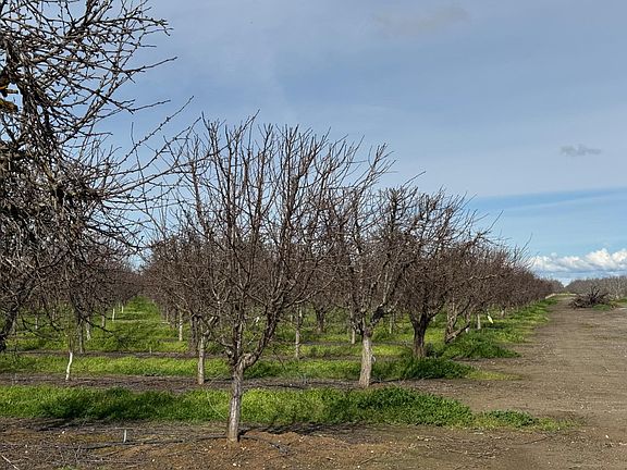 3rd image of 6722 Bryden Rd