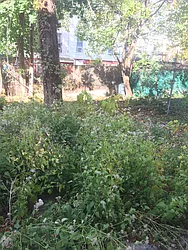 Rented by Crosstown Apartments NYC