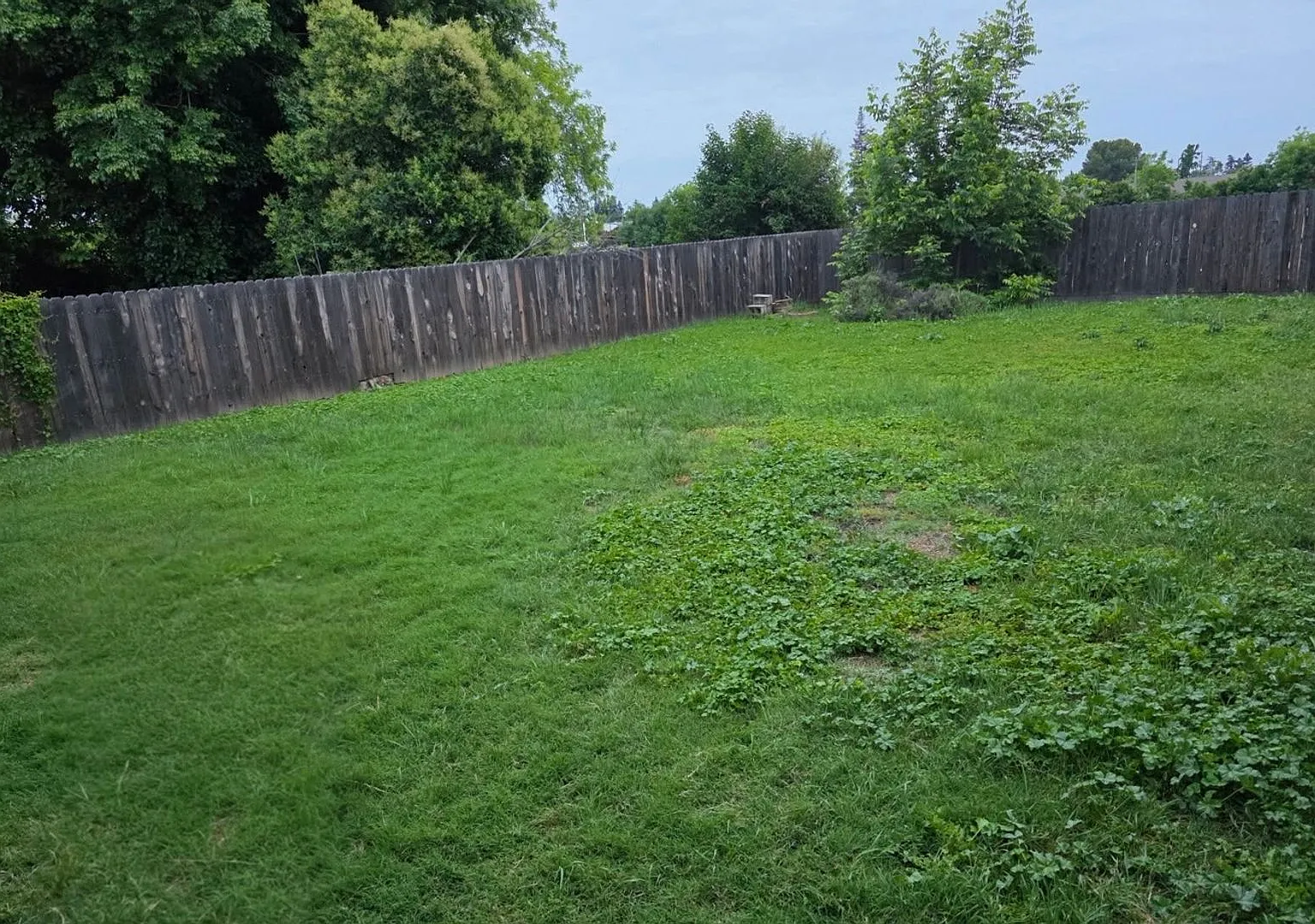 1382 Bancroft Ave — Photo 3