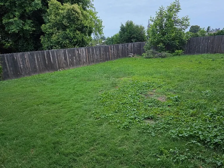 1382 Bancroft Ave — Photo 3