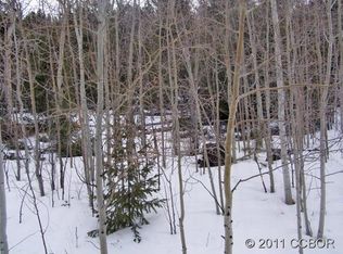 876 Corral Rd, Hartsel, CO 80449