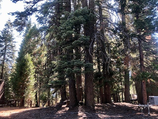 1st image of 1135 Lassen View Dr