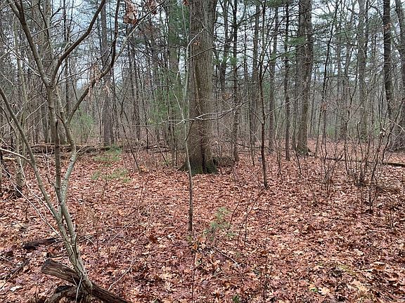 2nd image of 767 Stony Hill Rd