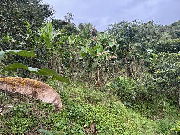 3rd image of Bo Montes Llanos Carr 505 Sector La Estancita