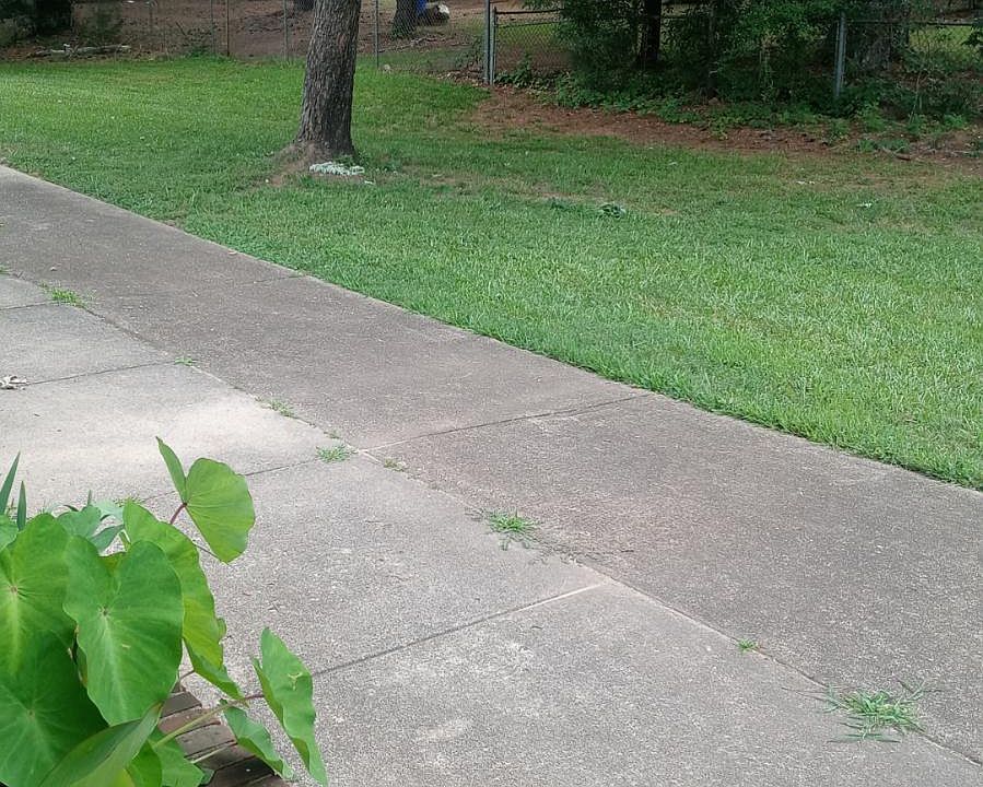 View of backyard