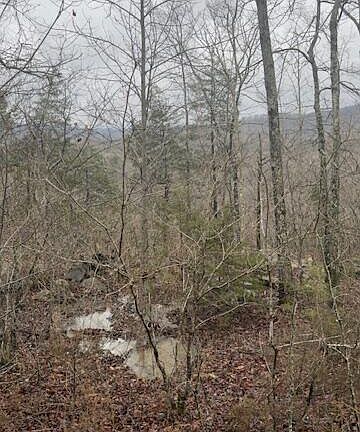 2nd image of 8.7 Wolf Gap Rd #8.7