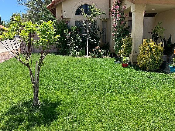 3rd image of 5744 Charlotte Pl