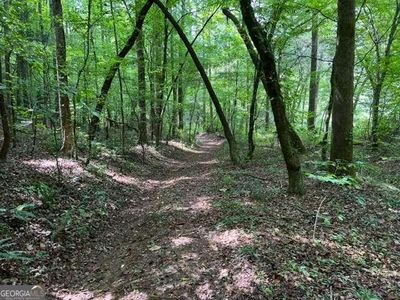 9 River Escape Dr, Cherry Log, GA, 30522