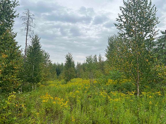 5th image of W5350 Big Woods Ln #5