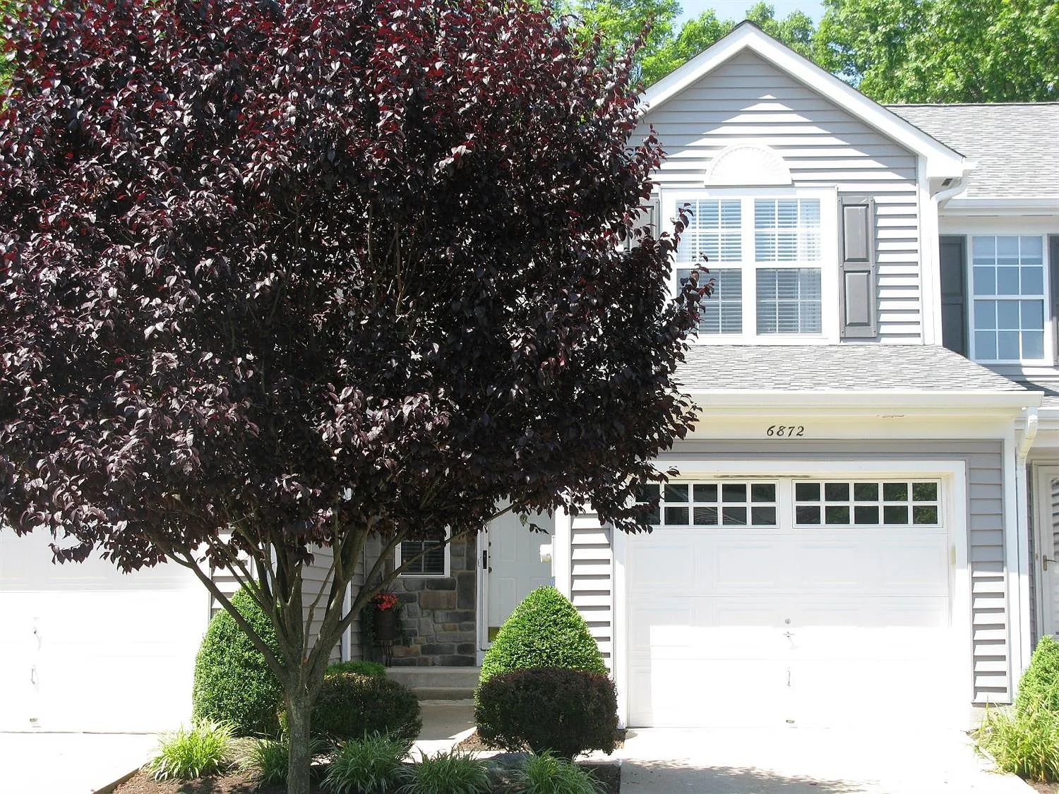 6872 Sandharbor Ct photo 1