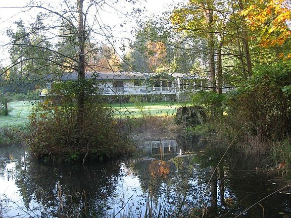 view from pond