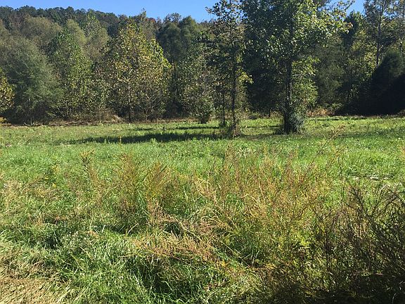 Property lays flat to creek 