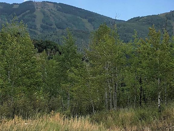 5th image of 2055 Black Bear Ln