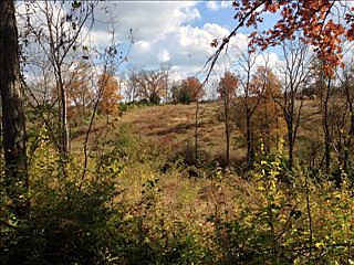 1st image of 1260 Mule Shed Ln