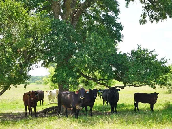 50 County Road 419, Navasota, TX 77868