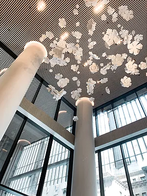 Rented by Lavenue Group Inc | media 10