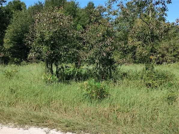 00 SW 145TH COURT LOT 14-15, OCALA, FL 34481