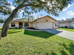 4330 Hoffman Ave, Spring Hill, FL 34606