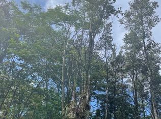 Pikake Rd LOT 124, Pahoa, HI 96778