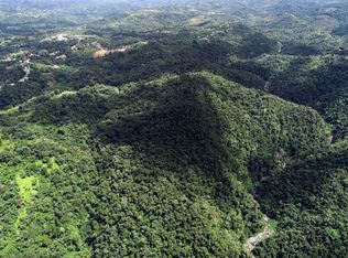 Carr140 Bo Mameyes Abajo, Utuado, PR 00641