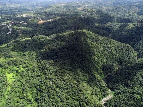 Carr140 Bo Mameyes Abajo, Utuado, PR 00641
