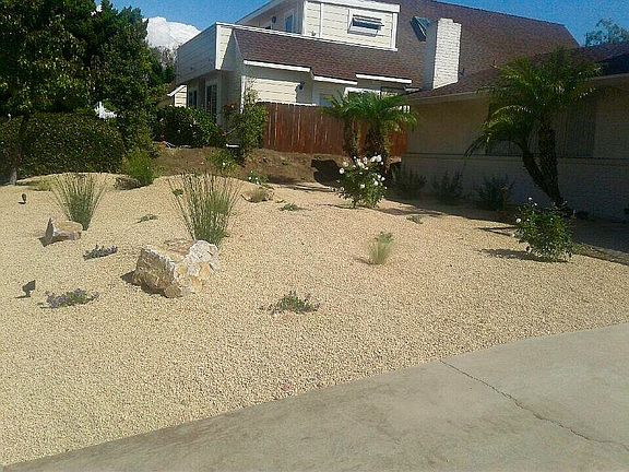 Large, low maintenance yard