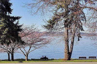 What a view! Just a stroll away to Marsh Park and fun activities.